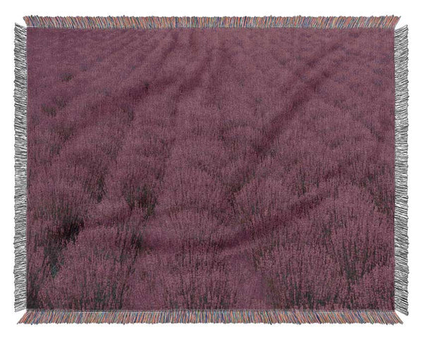 Impressive fields of lavender Woven Blanket