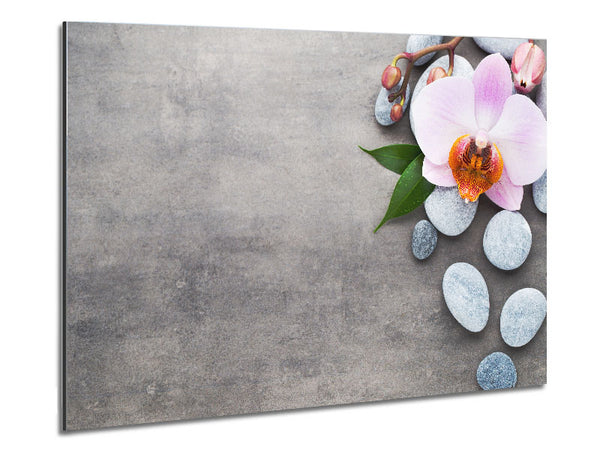 Orchid beauty zen stones Metal Print