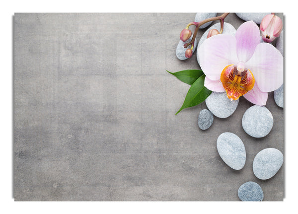 Orchid beauty zen stones