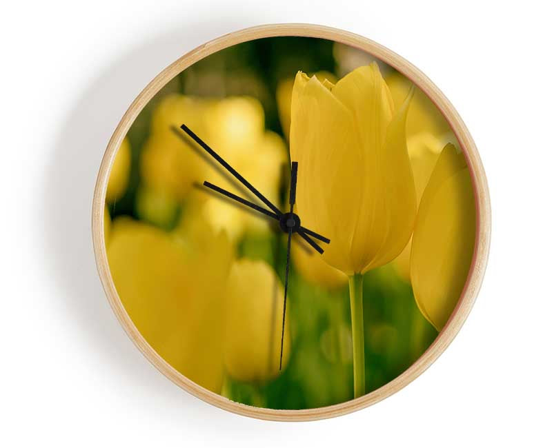 Yellow tulips supreme Clock - Wallart-Direct UK