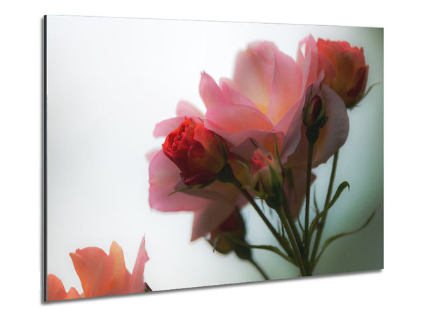 Eine Reihe von rosa Blumen