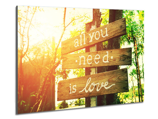 All You Need Is Love Metal Print