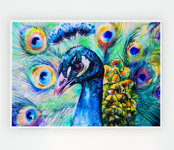 Vibrant Watercolour Peacock Print Poster Wall Art