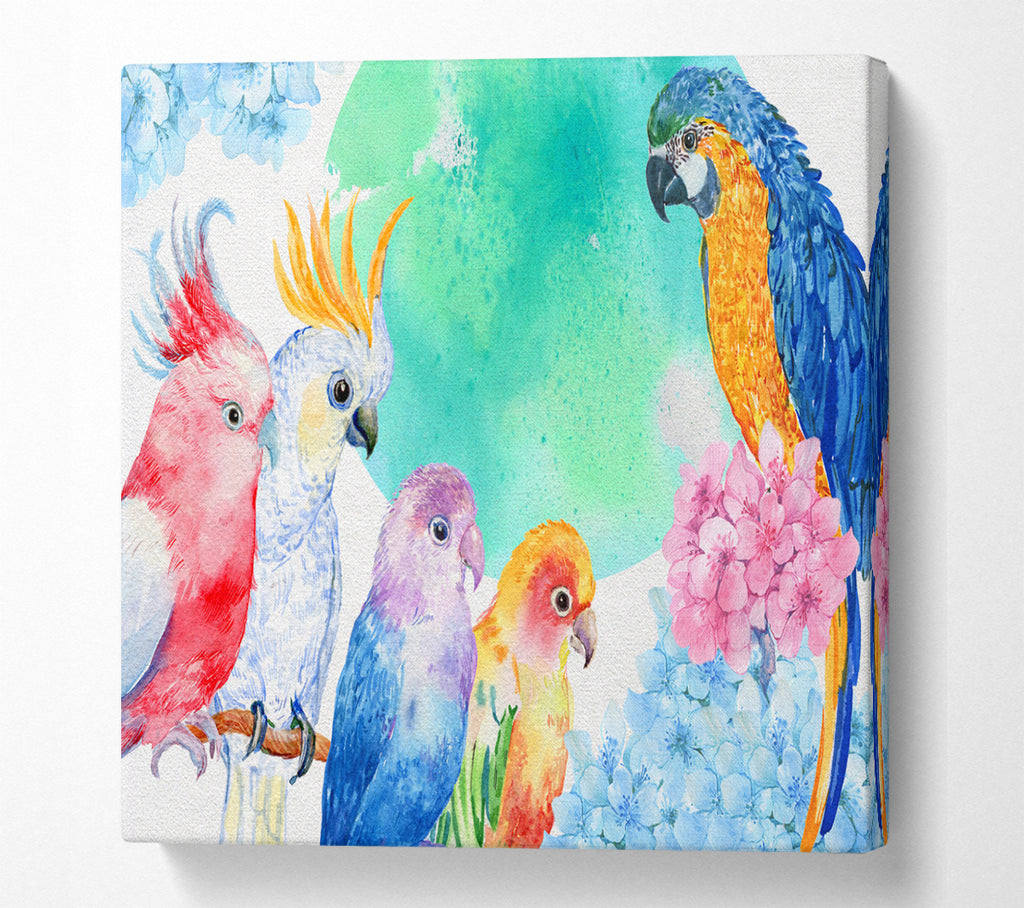 A Square Canvas Print Showing Array Of Watercolour Parrots Square Wall Art