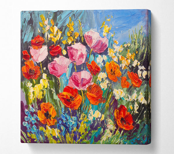 A Square Canvas Print Showing Mixed Poppies In The Sun Square Wall Art