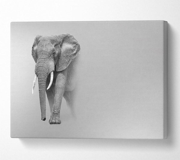  A Canvas Print of Elephant In The Mist Canvas Wall Art