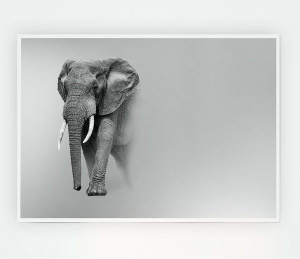 Elephant In The Mist Print Poster Wall Art