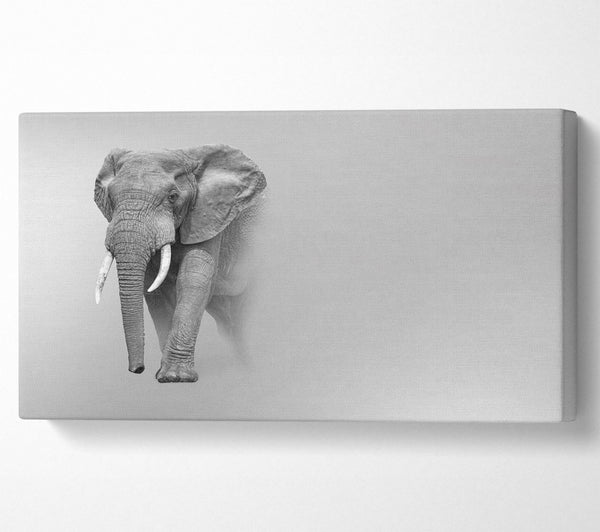 Elefant im Nebel