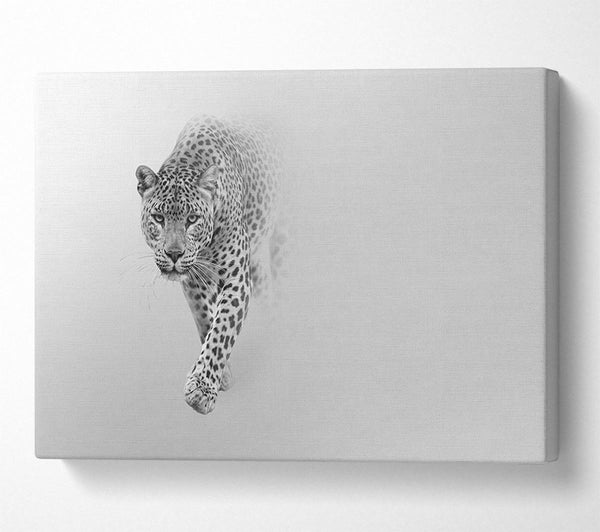  A Canvas Print of Leopard In The Mist Canvas Wall Art