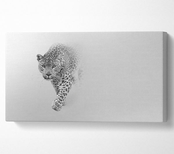Leopard im Nebel