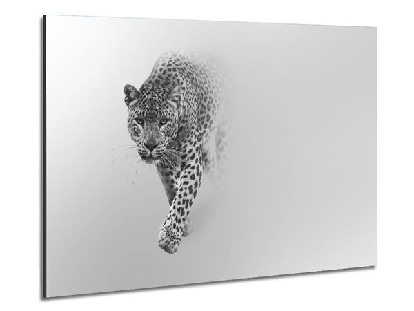Leopard In The Mist Metal Print