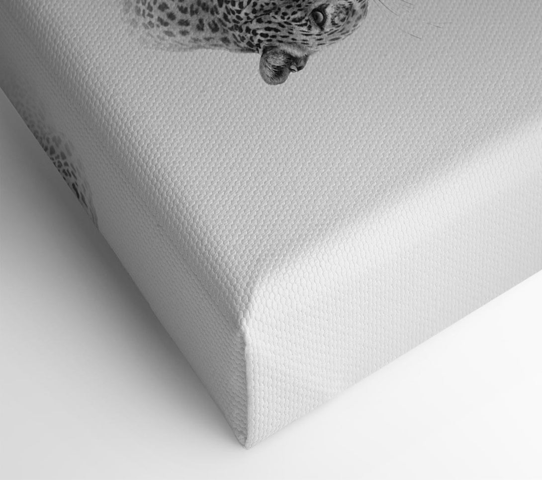  A Canvas Print of Leopard In The Mist Canvas Wall Art