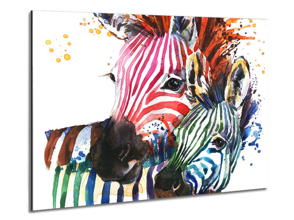 Multicoloured Rainbow Zebra
