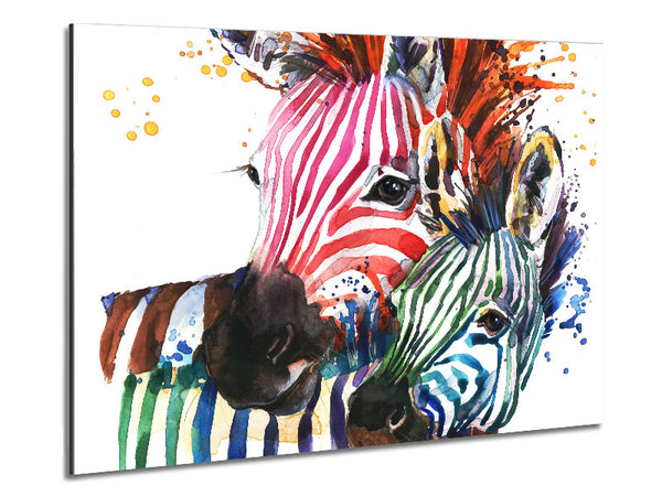 Buntes Regenbogenzebra