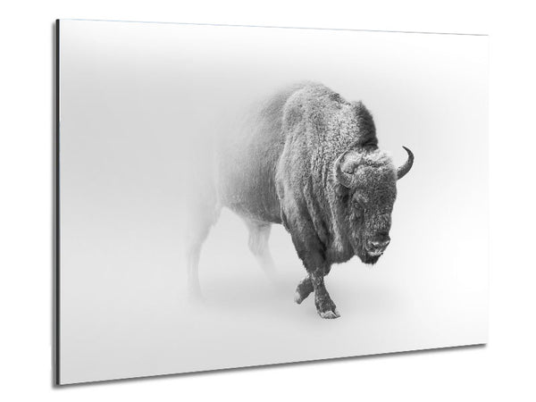 Bison im Nebel
