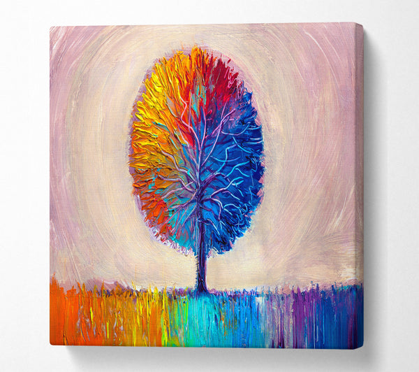 A Square Canvas Print Showing Lone Tree Rainbow Square Wall Art