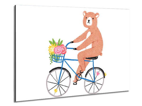 Bär auf einem Fahrrad