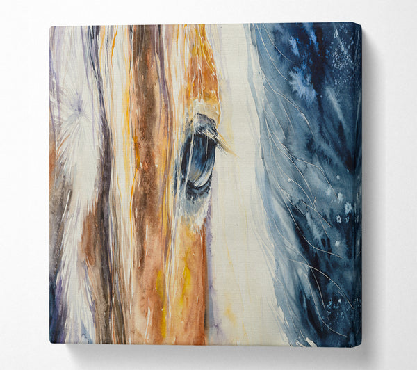 A Square Canvas Print Showing Deep Into Horses Eye Square Wall Art