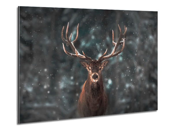 Stag In The Snow Metal Print