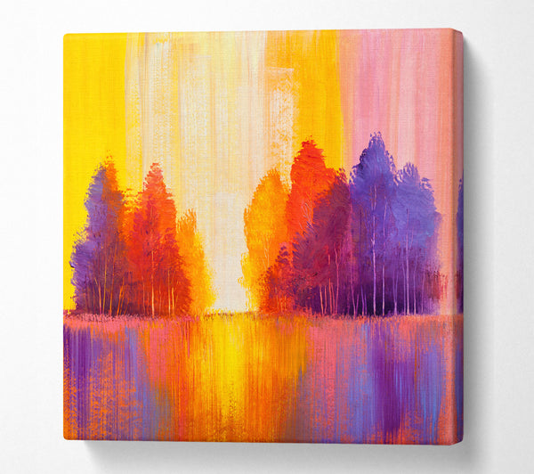 A Square Canvas Print Showing Streams Of Colour Forest Square Wall Art