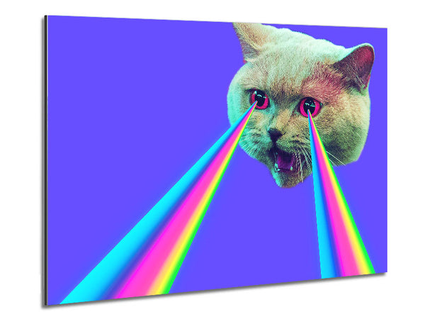Katzen-Laserstrahl