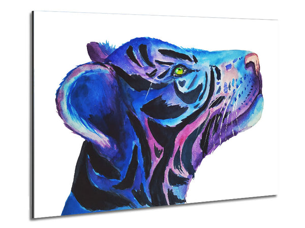 Stunning Tiger Cub Blues Metal Print