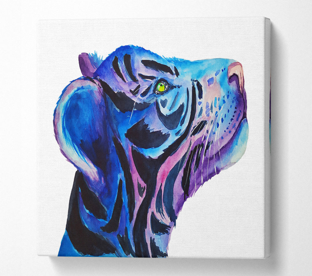 A Square Canvas Print Showing Stunning Tiger Cub Blues Square Wall Art