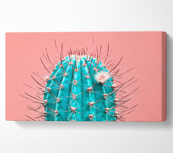 Teal Cactus