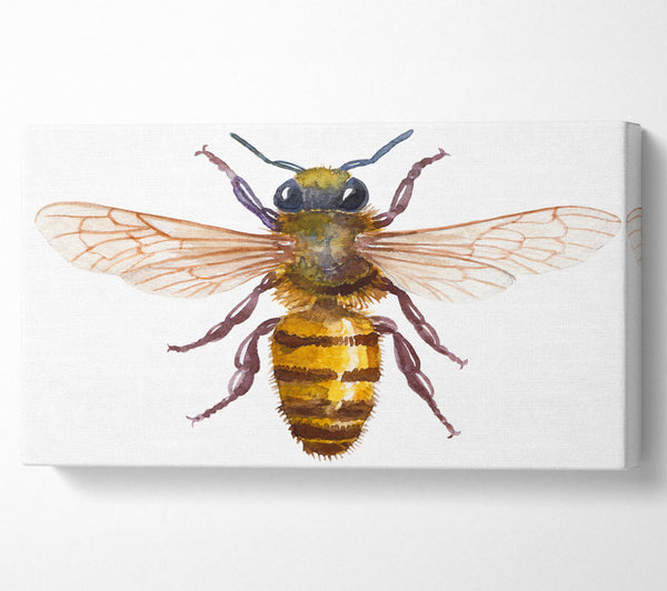 Aquarell Biene 