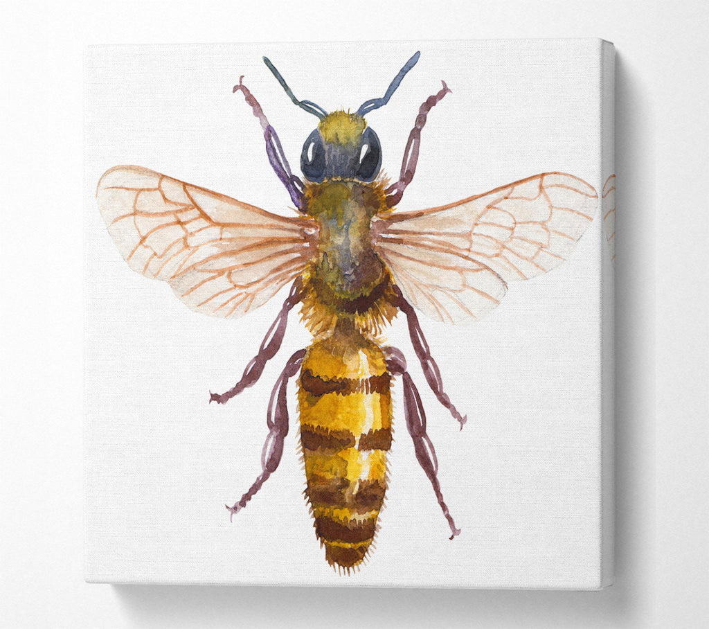 A Square Canvas Print Showing Watercolour Bee Square Wall Art