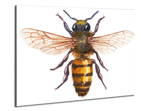 Watercolour Bee