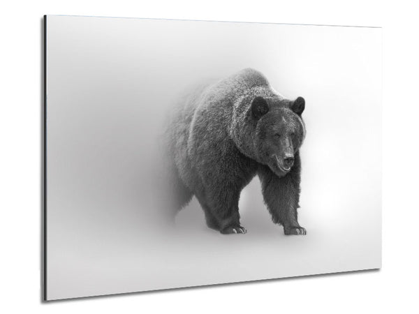 Bär im Nebel