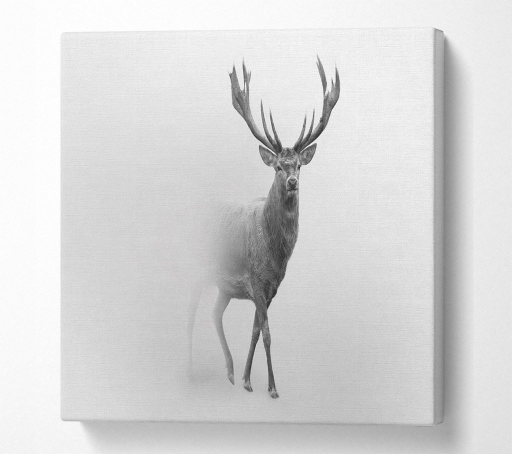 A Square Canvas Print Showing Stag In The Mist Square Wall Art