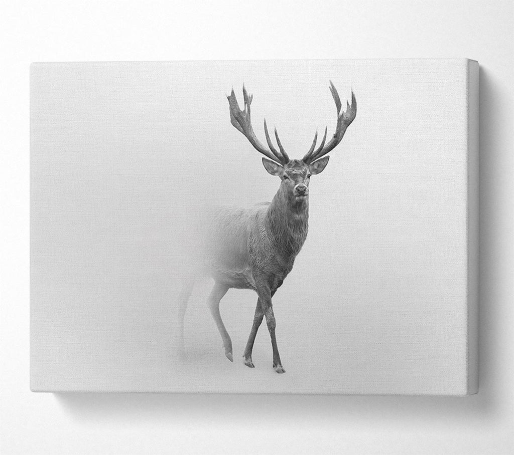 Picture of Stag In The Mist Canvas Print Wall Art
