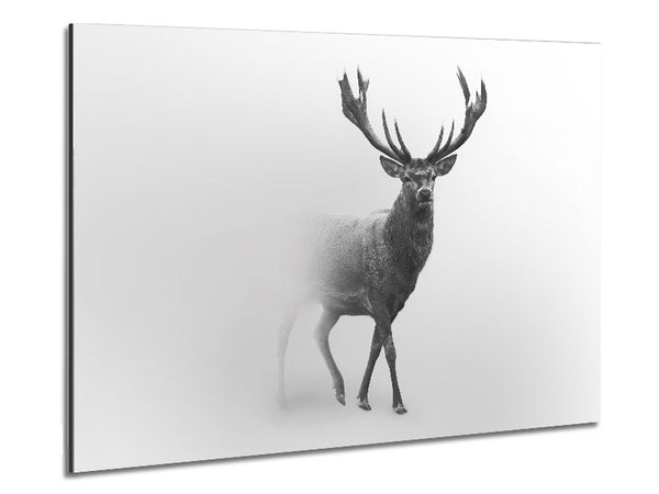 Stag In The Mist Metal Print