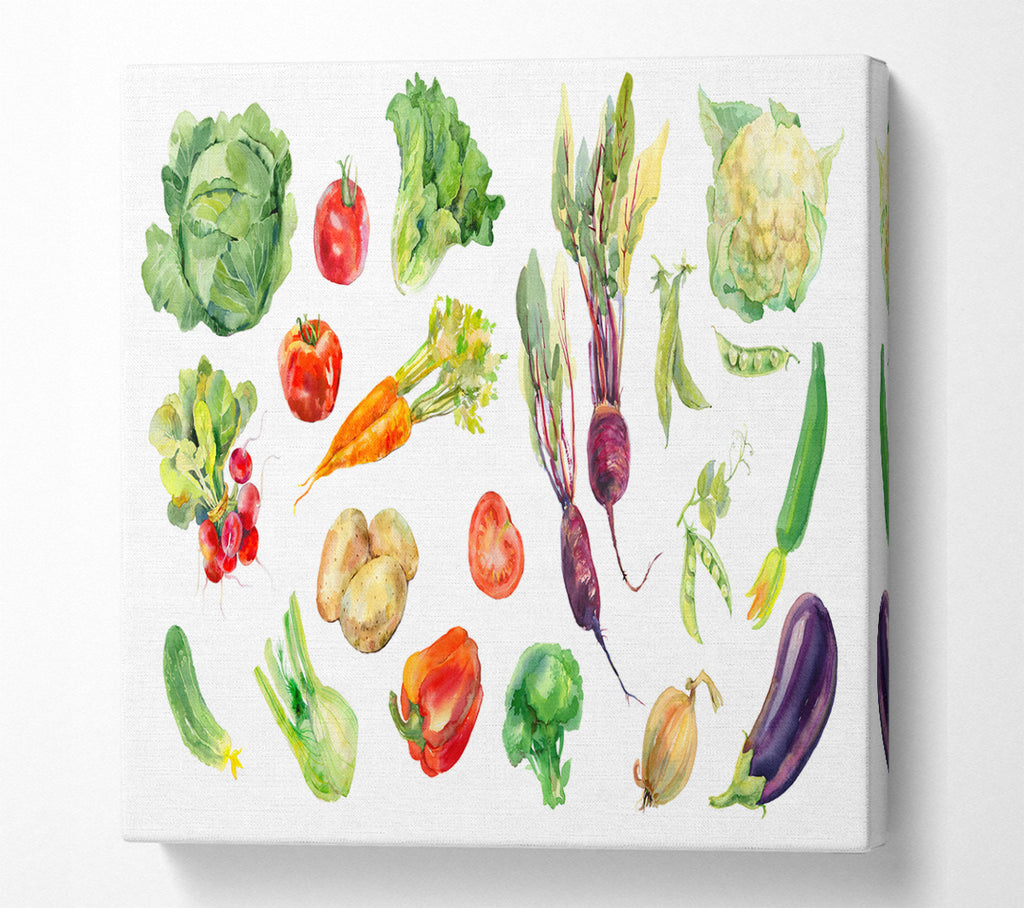 A Square Canvas Print Showing Selection Of Watercolour Vegetables Square Wall Art