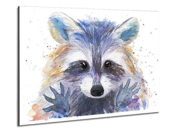 Watercolour Raccoon