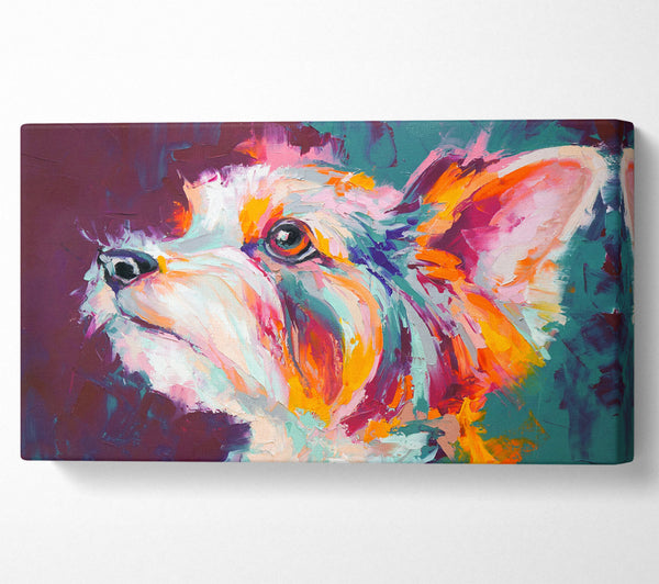 Lebhafter Yorkshire Terrier