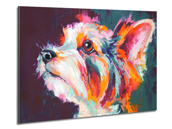 Lebhafter Yorkshire Terrier