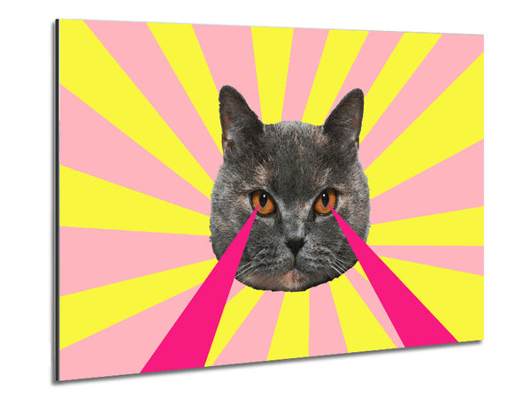 Katzen-Laseraugen