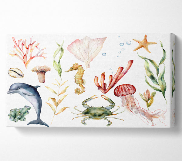 Aquarell Meerestiere 