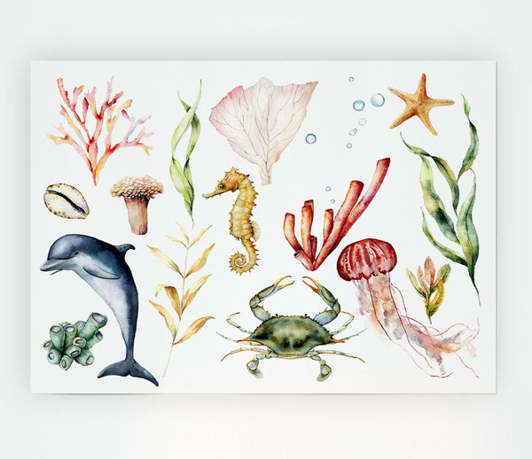 Water Colour Sea Creatures Print Poster Wall Art