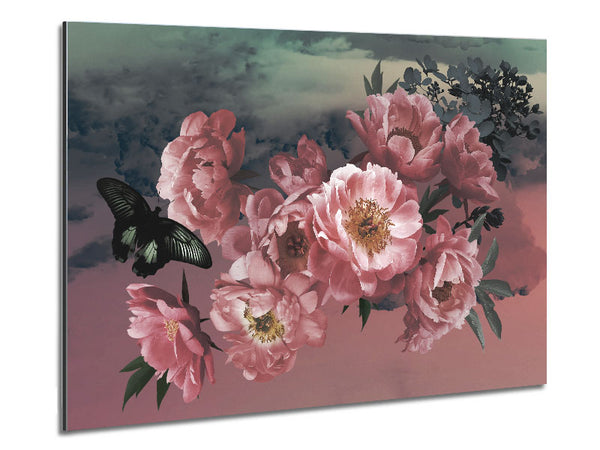 Bewölkte Schmetterlingsblumen