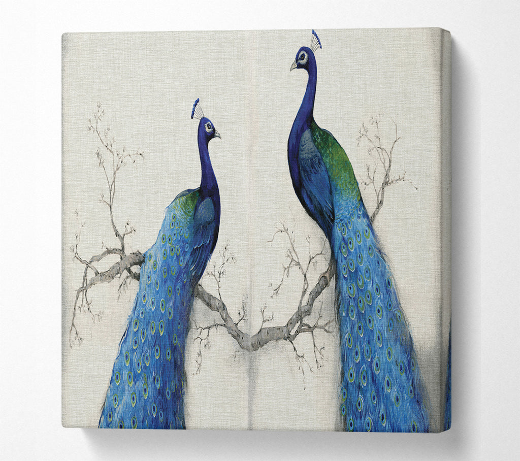A Square Canvas Print Showing The Peacock Duo Square Wall Art