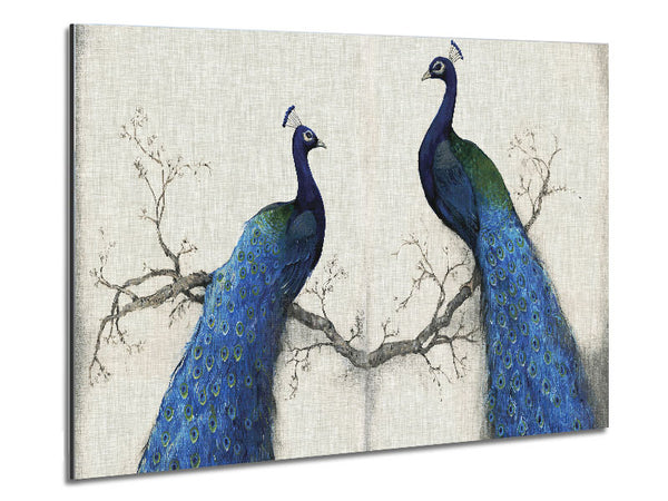 The Peacock Duo Metal Print