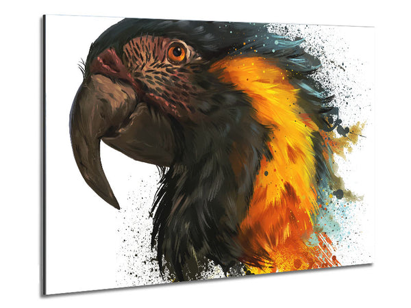 Rainbow Splatter Parrot Metal Print