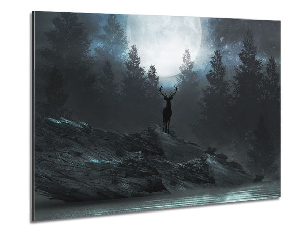 The Deer At Night Metal Print