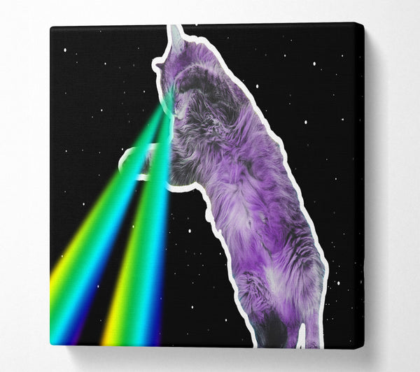 A Square Canvas Print Showing Cat Lazer Beam Space Square Wall Art