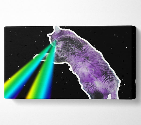 Katze Laserstrahl Weltraum