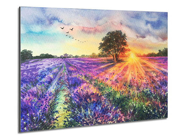 Lilac Fields Sunset Metal Print